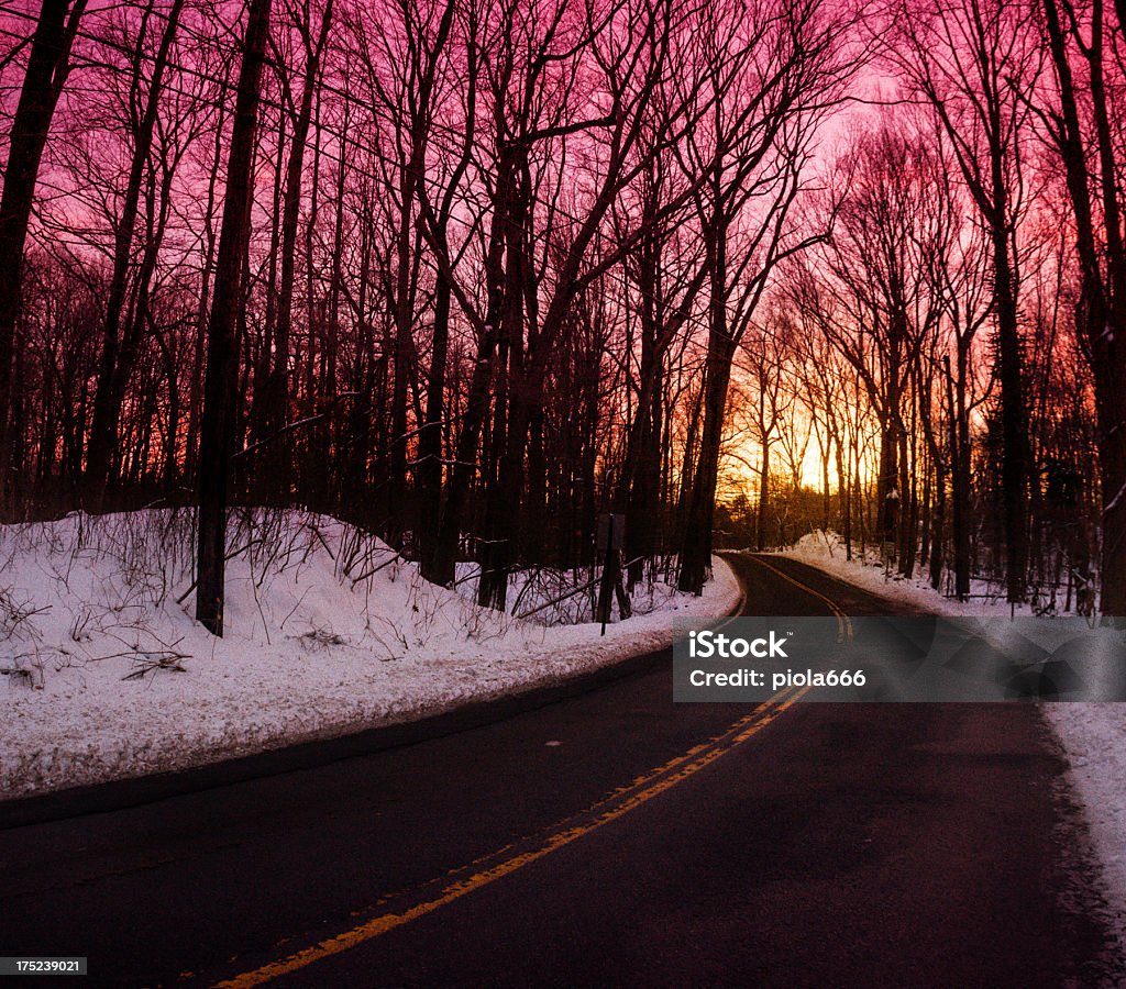 Inverno strada dritta - Foto stock royalty-free di Albero