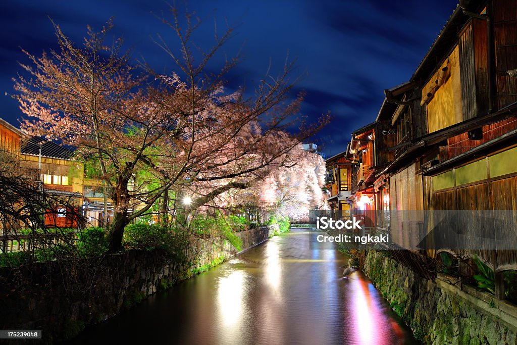 kyoto avec sakura de nuit - Photo de Arbre libre de droits