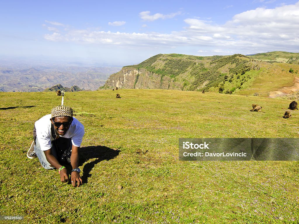 Come Gelada - Foto stock royalty-free di Africa