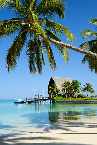 아름다운 해변 - hut maldives beach hut jetty 뉴스 사진 이미지