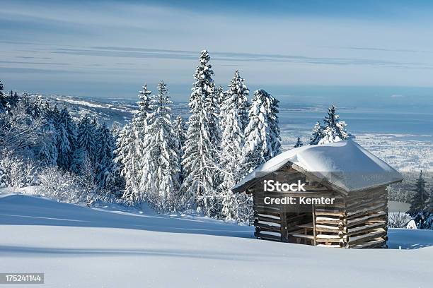 Paesaggio Invernale Con Vecchia Capanna - Fotografie stock e altre immagini di Inverno - Inverno, Lago di Costanza, Abete