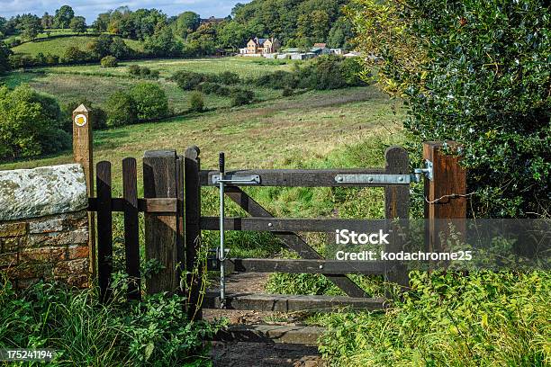 Puerta Foto de stock y más banco de imágenes de Escalera para pasar una cerca - Escalera para pasar una cerca, Inglaterra, Boscaje