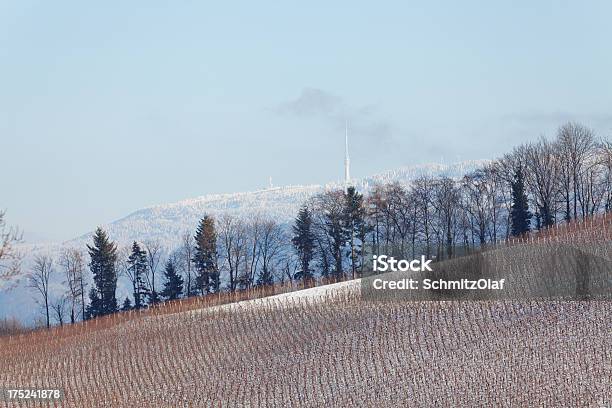 Paesaggio Invernale Con Vigneto - Fotografie stock e altre immagini di Agricoltura - Agricoltura, Ambientazione esterna, Azienda vinicola