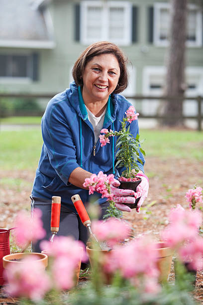 istock Mature Hispanic woman gardening 175242058