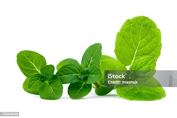 Mint Stockfoto und mehr Bilder von Aromatherapie - Aromatherapie, Ast - Pflanzenbestandteil, Atemübung