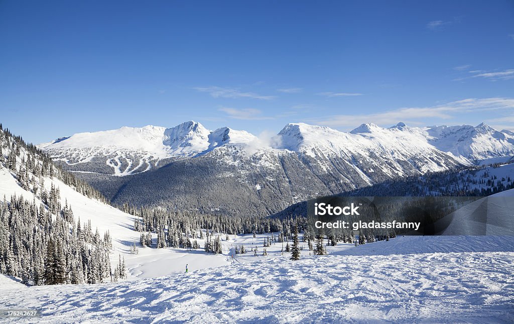 Sun Bowl w Whistler Mountain Patrząc w kierunku Blackcomb - Zbiór zdjęć royalty-free (Kolumbia Brytyjska)