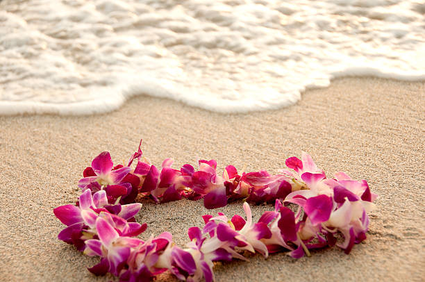 collier de fleurs hawaïen allongé sur une plage de sable - outdoors waikiki waikiki beach honolulu photos et images de collection