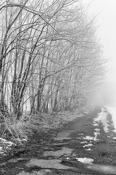 istock Country Road. Black and White 175243736