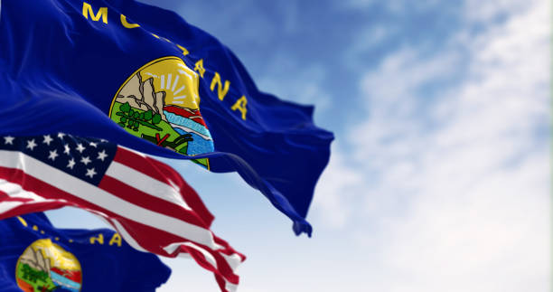 montana state flags waving in the wind with the american flag on a clear day - montana flag us state flag banner imagens e fotografias de stock