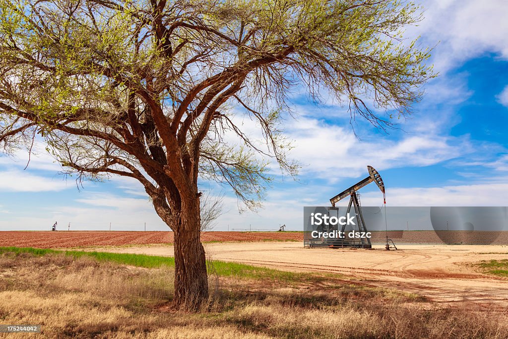 lone tree, Puits de pétrole pumpjack, farmland-ouest du Texas - Photo de Texas libre de droits