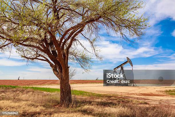 Foto de Lone Tree Poço De Petróleo Pumpjack Fazendaswest Texas e mais fotos de stock de Texas