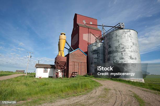 Silo - Fotografie stock e altre immagini di Agricoltura - Agricoltura, Ambientazione esterna, America del Nord