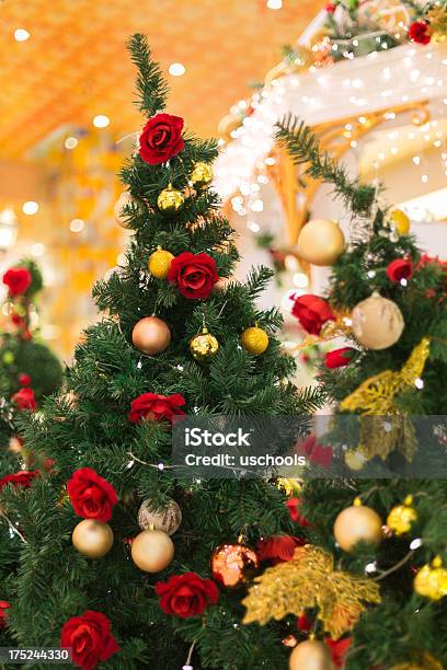 크리스마스 트리를 아르카디아 장식품 장미 0명에 대한 스톡 사진 및 기타 이미지 - 0명, 나무, 빨강