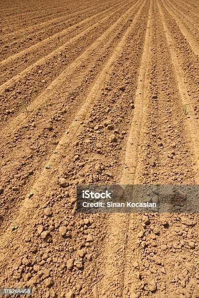 Photo libre de droit de Champ Labouré banque d'images et plus d'images libres de droit de Agriculture - Agriculture, Beauté de la nature, Blé