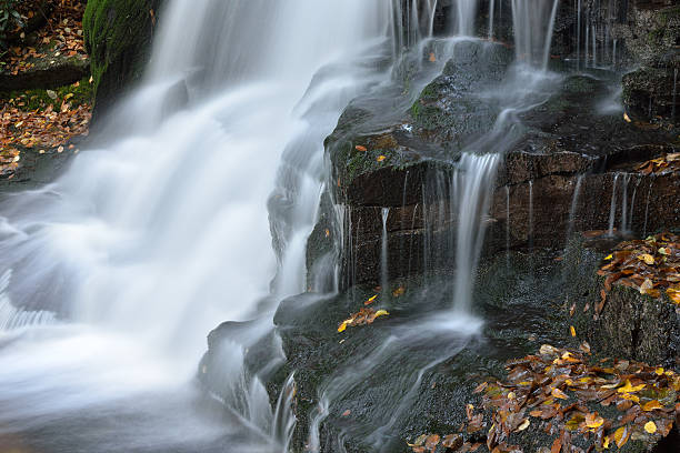 elakala falls - monongahela national forest landscapes nature waterfall fotografías e imágenes de stock