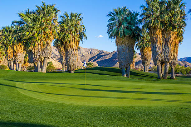 ゴルフコースでカリフォルニア州パームスプリングス（p ） - lawn desert golf california ストックフォトと画像