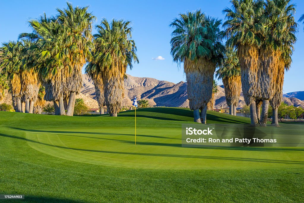 Pole golfowe w Palm Springs, California (P - Zbiór zdjęć royalty-free (Bez ludzi)