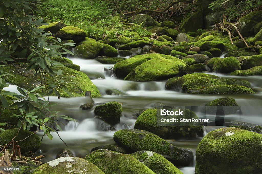 Verde musgo Mountain Stream Smoky Mountains Tennessee - Foto de stock de Caminho Natural de Roaring Fork Motor royalty-free