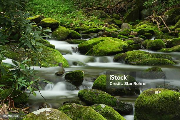 Foto de Verde Musgo Mountain Stream Smoky Mountains Tennessee e mais fotos de stock de Caminho Natural de Roaring Fork Motor