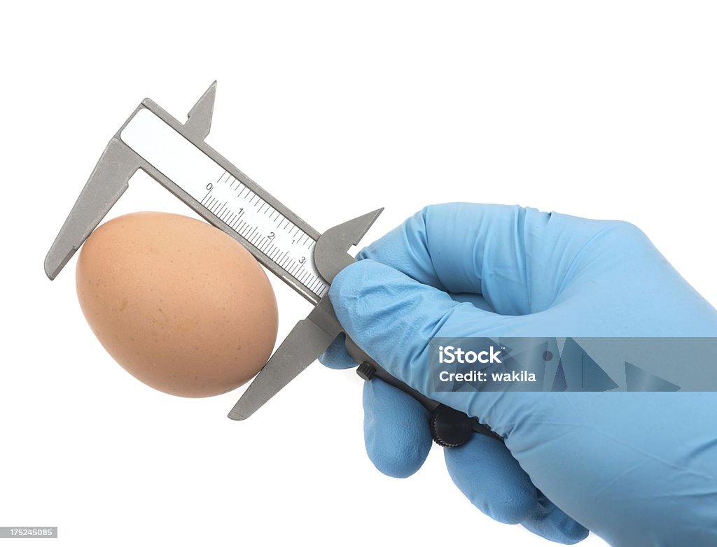 Misurazione della dimensione di uovo - Foto stock royalty-free di Blu