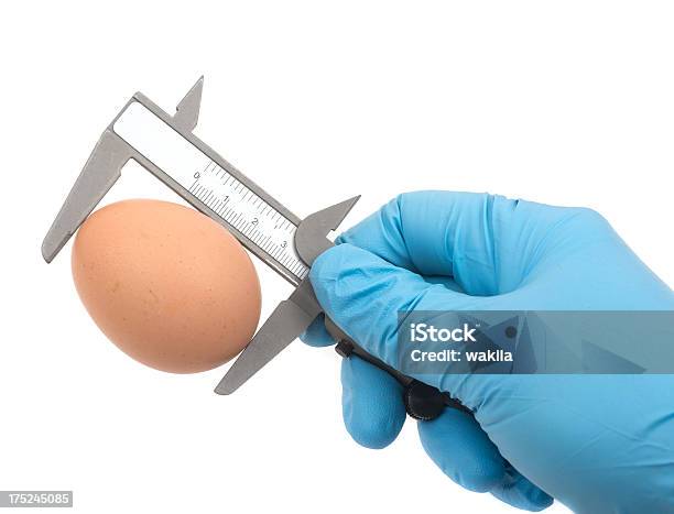 Foto de Medição De Um Ovo Size e mais fotos de stock de Azul - Azul, Colesterol, Comida