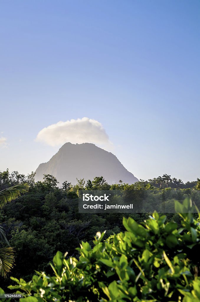 Iluminado pico da montanha paisagens - Foto de stock de Arbusto royalty-free