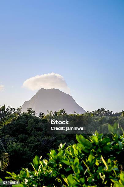 Foto de Iluminado Pico Da Montanha Paisagens e mais fotos de stock de Arbusto - Arbusto, Azul, Bosque - Floresta