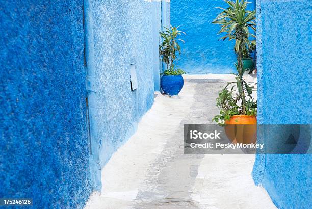 カラフルな植物の鍋メディトレニアンブルーの壁が白アレイ - モロッコのストックフォトや画像を多数ご用意 - モロッコ, モロッコ文化, 人物なし