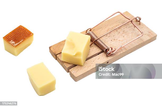 쥐덫 치즈 위에서 0명에 대한 스톡 사진 및 기타 이미지 - 0명, 노랑, 단일 객체