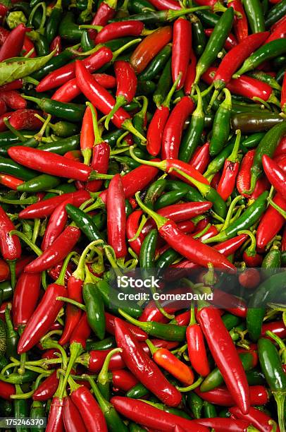 Closeup De Orgânico Pimentos No Recipiente De Transporte - Fotografias de stock e mais imagens de Agricultura