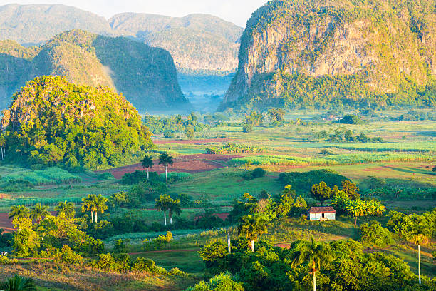 Thung Lũng Vinales Cuba Hình ảnh Sẵn có - Tải xuống Hình ảnh Ngay bây giờ -  Cuba, Thung Lũng Viñales, Pinar Del Río - iStock
