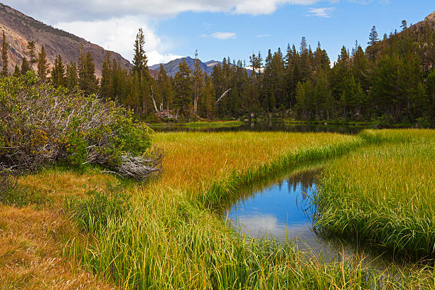 istock Idyllic lake at Tioga Pass 175246540