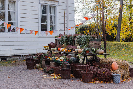 Autumn decoration with pumpkins and other vegetables in front of old house