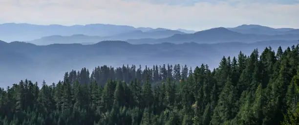 Views from the mountain biking trails in Oakridge, Oregon