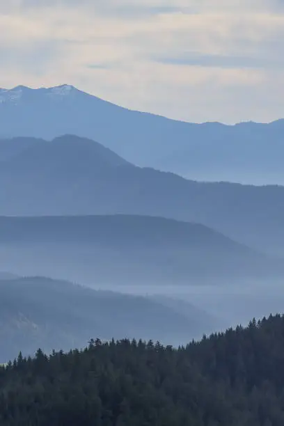 Views from the mountain biking trails in Oakridge, Oregon