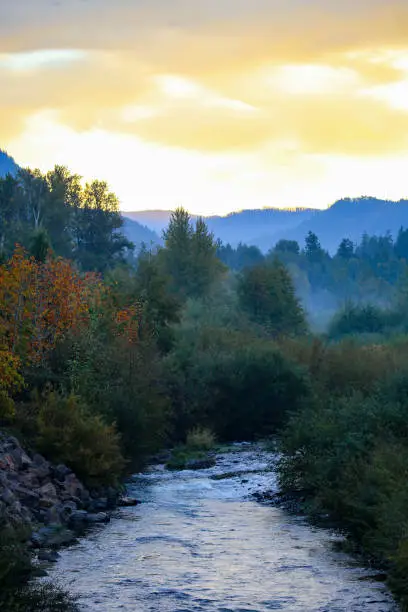 Views from the mountain biking trails in Oakridge, Oregon