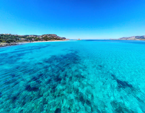 istock Crystal clear water in La Pelosa beach 1752475329