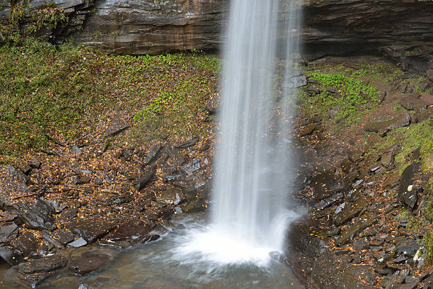 cataratas de hills creek en west virginia - monongahela national forest landscapes nature waterfall fotografías e imágenes de stock