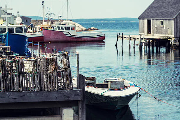 istock Peggy's Cove Wharf 175248093
