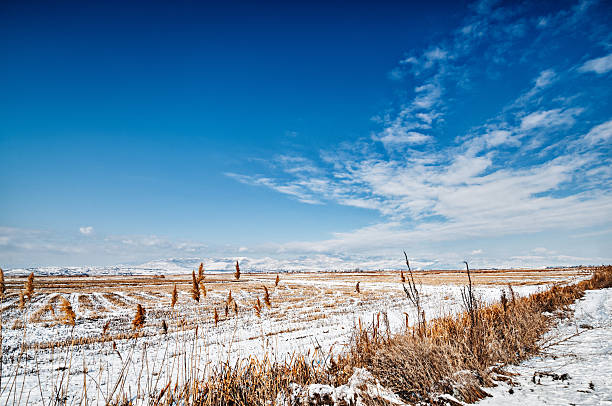 Looking over snow-covered fields to misty hills in the distance. Beautiful cloudscape and blue sky over the snowy mountains in the background. Visible yellow corn field under the snow.See more images like this in: