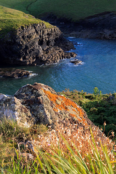 de los paisajes de la costa en port quin en cornwall - english quin fotografías e imágenes de stock