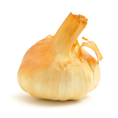 Garlic bulb isolated on a white background.
