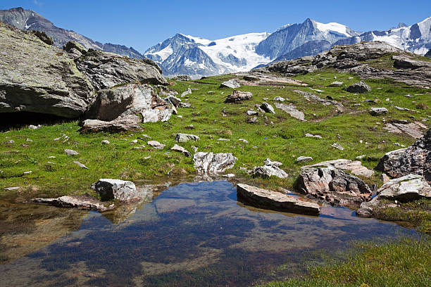 연못 있는 라크 des 딕스 - wilderness area flower pond clear sky 뉴스 사진 이미지