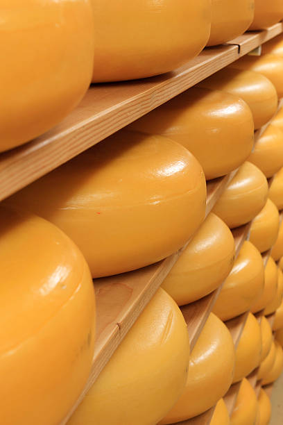 istock cheeses on the shelves at a dairy farm 175248882