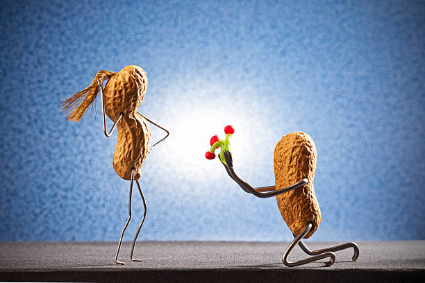 A  peanut guy makes proposal of marriage to his girl.
