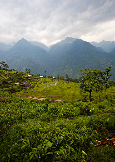 sikkim, paysages du nord de l'inde - sikkim photos et images de collection