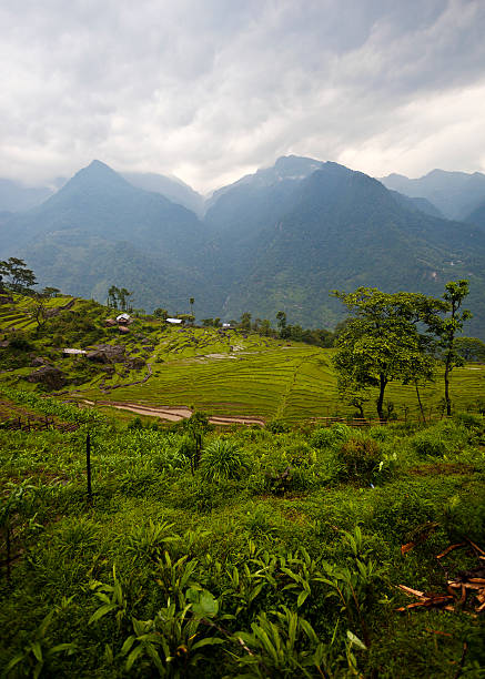 northern sikkim, india paesaggio - sikkim foto e immagini stock