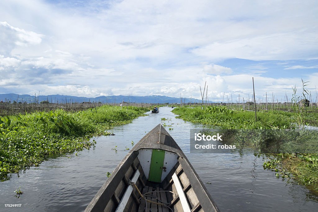 La flotación jardines del lago Inle - Foto de stock de Agricultura libre de derechos