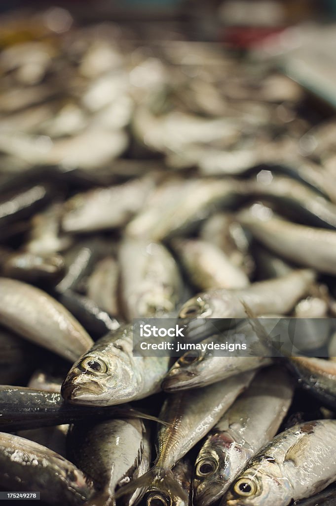 Marché de poissons de Thaïlande - Photo de Aliment libre de droits