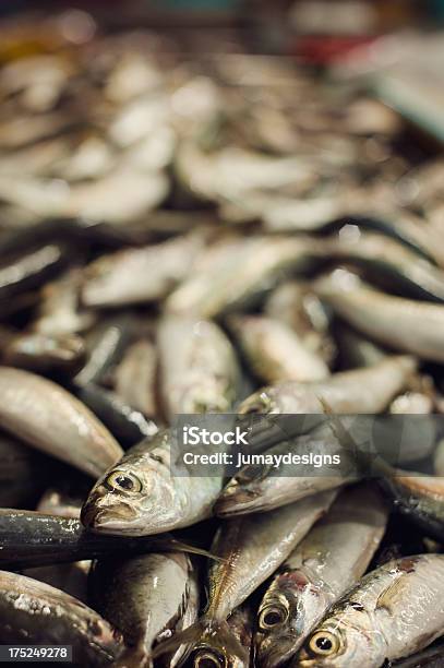 Photo libre de droit de Marché De Poissons De Thaïlande banque d'images et plus d'images libres de droit de Aliment - Aliment, Couleur argentée, Fraîcheur